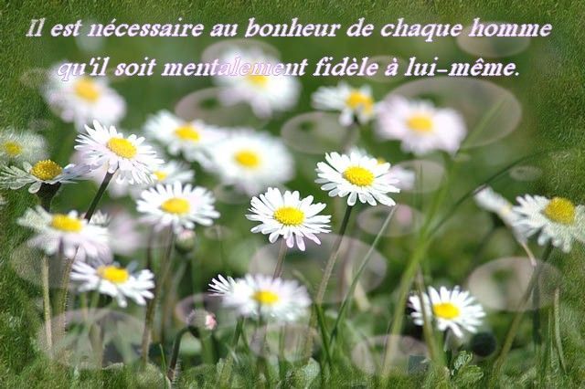 fidèle reste fidèle